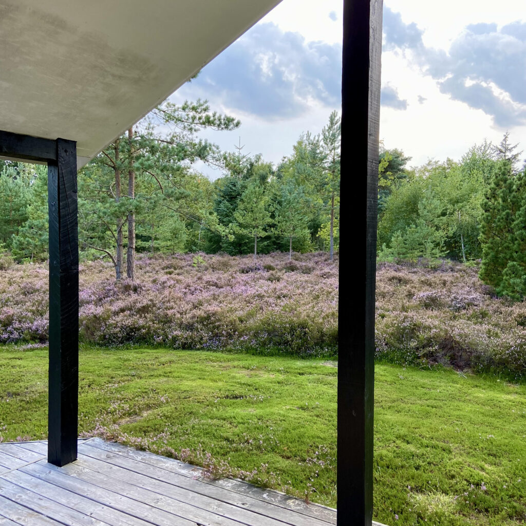 Ude: Naturgrund med lyng