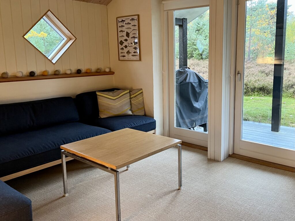 TV-stue inde i sommerhuset